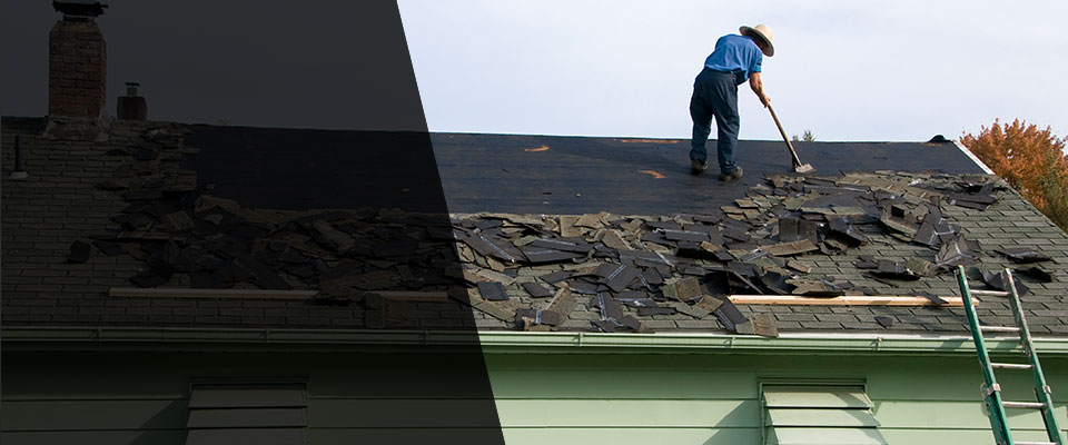 Dunedin Roofing Contractors